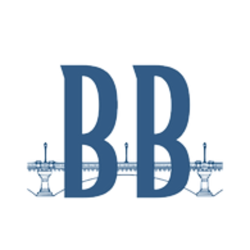 Organization Logo for Building Bridges for America Civic Education Fund (c3)