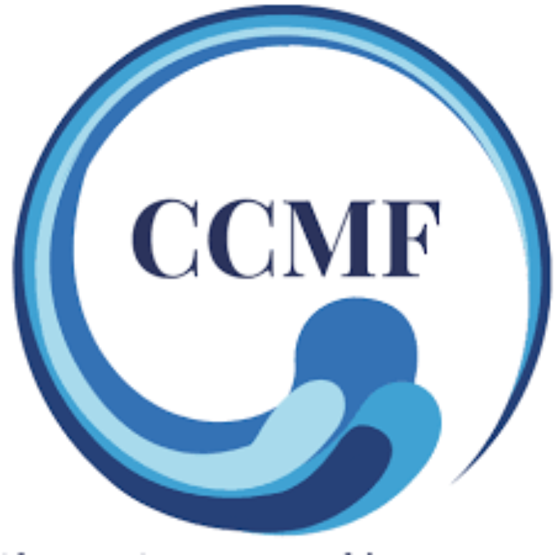 Organization Logo for Chester County Marching Forward (Group)