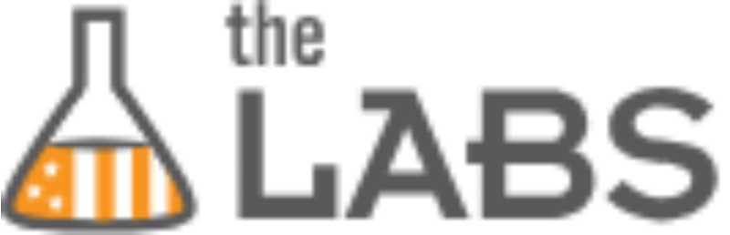 Organization Logo for Democracy Labs (c4/LLC)
