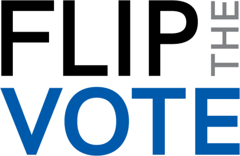 Organization Logo for Flip the Vote (c4)