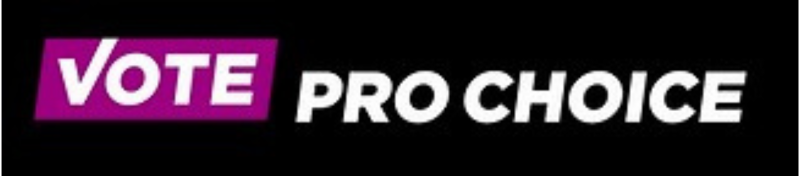 Organization Logo for Vote Pro-Choice Action Fund (c4/PAC)